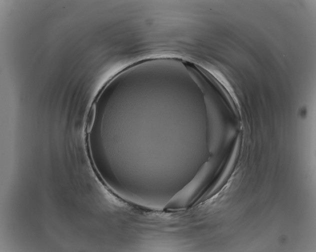 X0000091501197200708161452