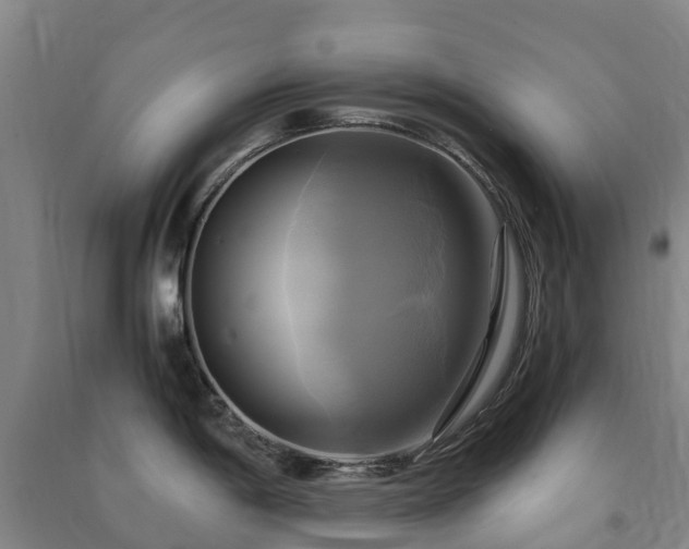 X0000091501198200708161452
