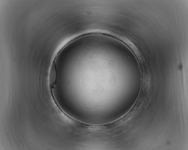 X0000091501199200708161452