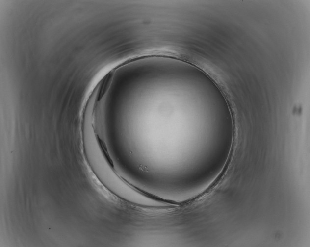 X0000091501200200708161452