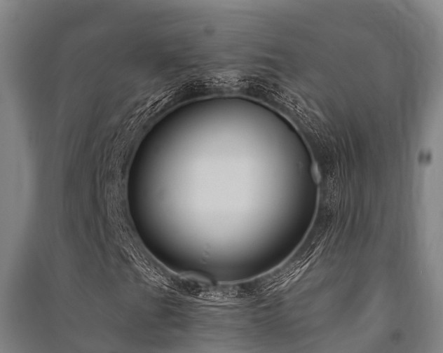 X0000091501201200708161451