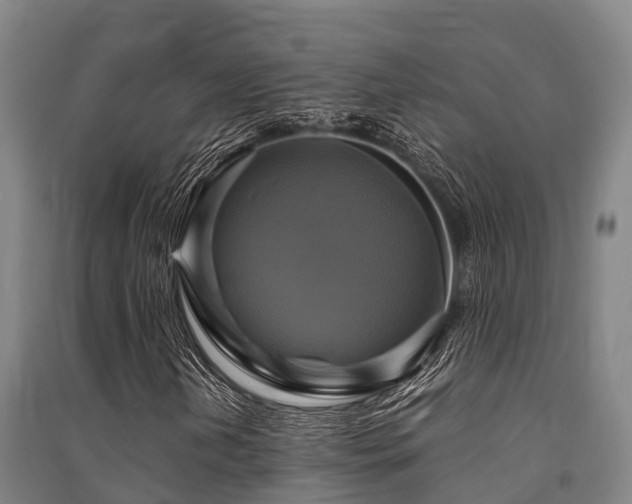 X0000091501202200708161451