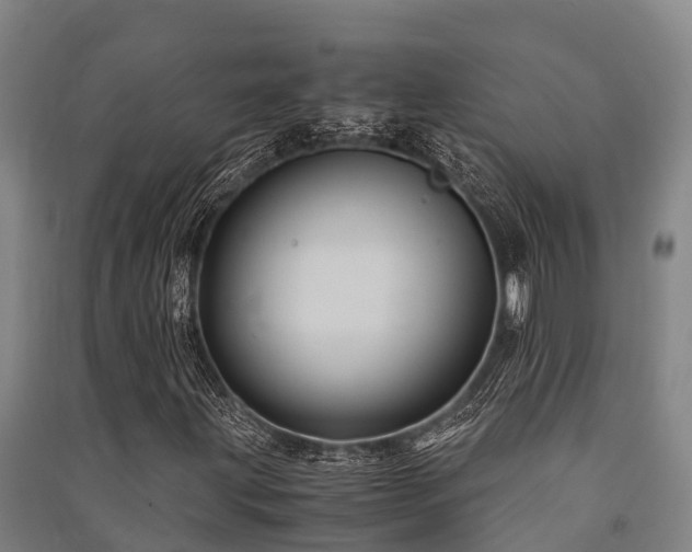 X0000091501203200708161451