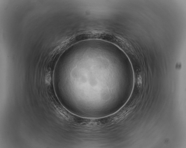 X0000091501204200708161451