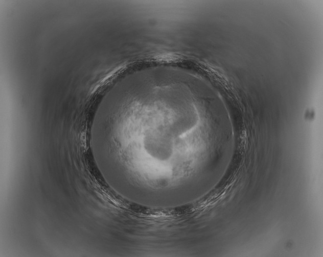 X0000091501205200708161451