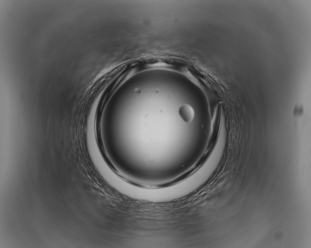 X0000091501206200708161451
