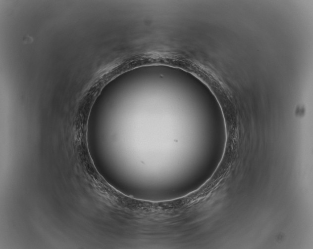 X0000091501207200708161452