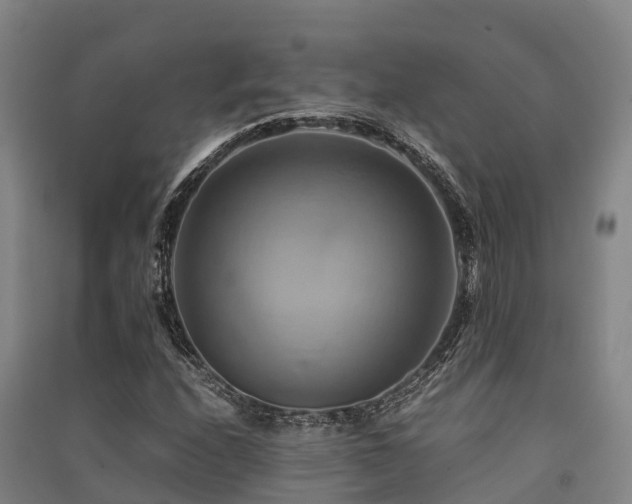 X0000091501208200708161452