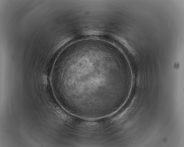 X0000091501209200708161452