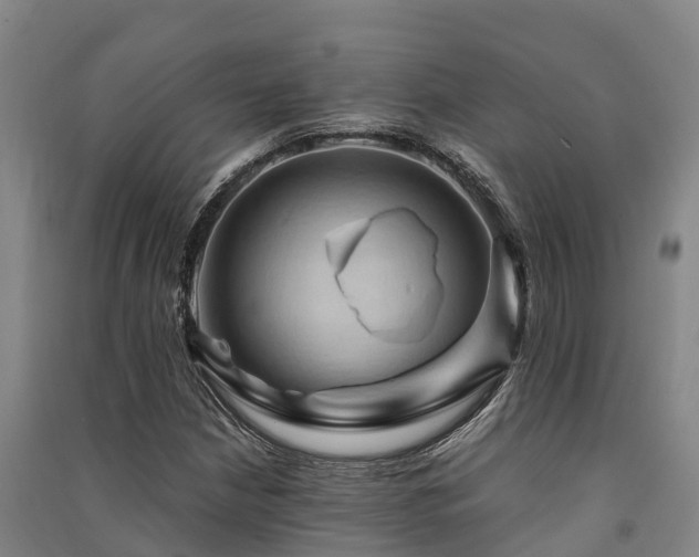 X0000091501210200708161452