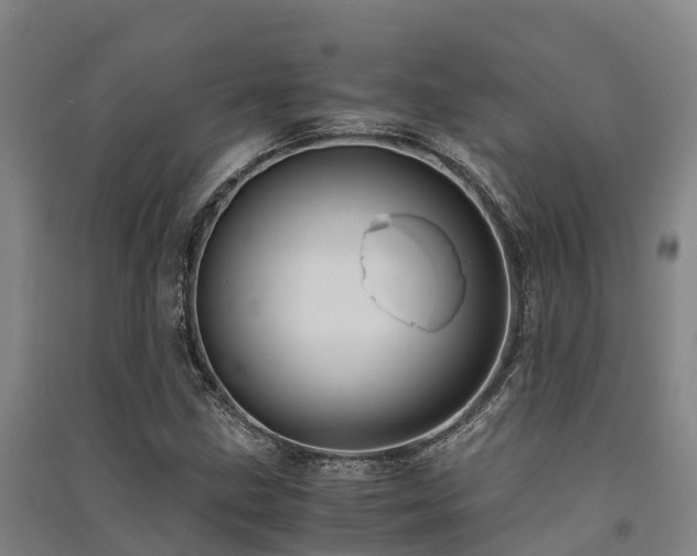 X0000091501211200708161452