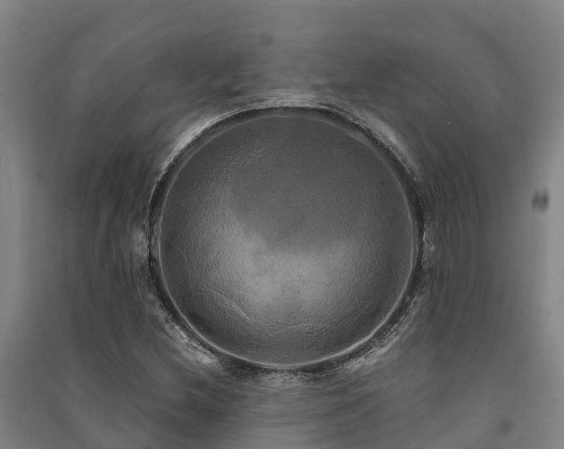 X0000091501212200708161452