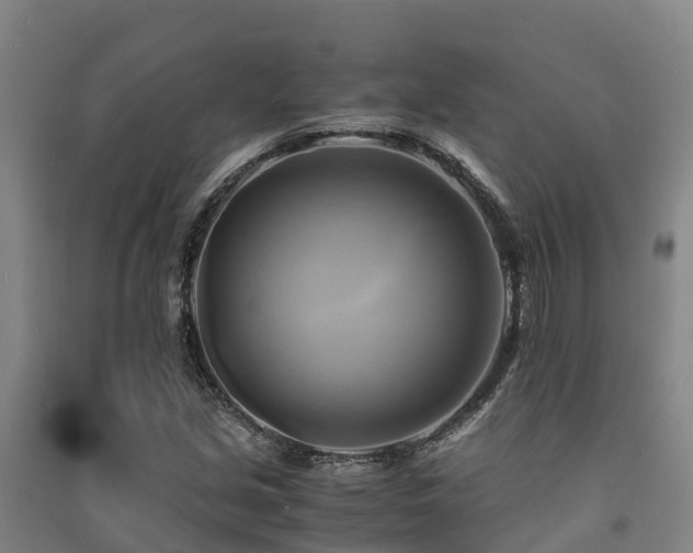 X0000091501213200708161452