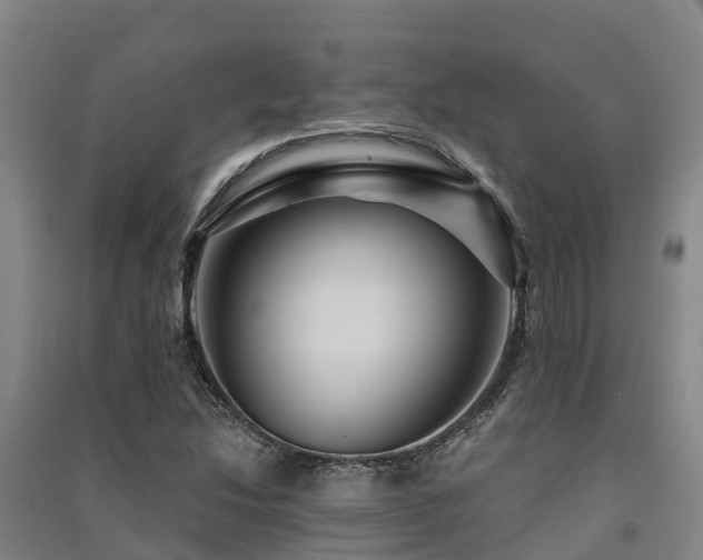 X0000091501214200708161452