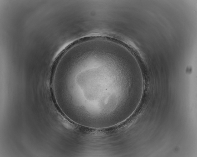 X0000091501216200708161452