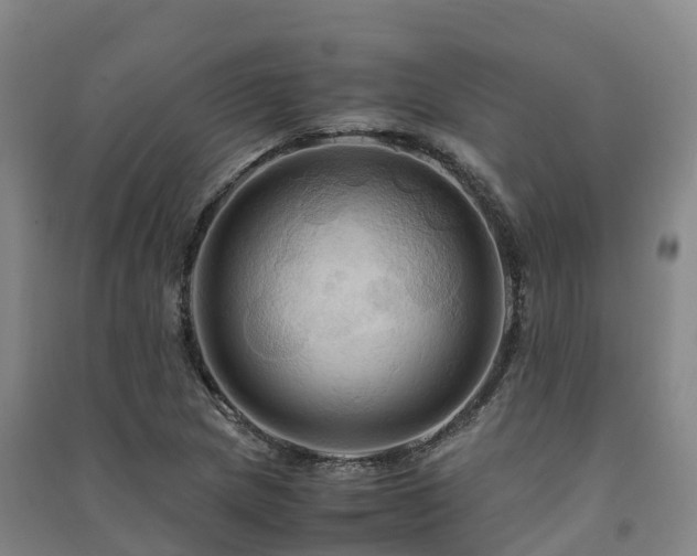 X0000091501217200708161452