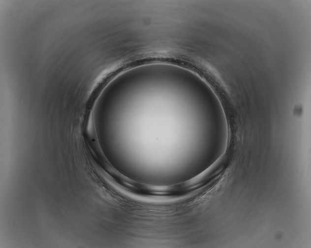 X0000091501218200708161452