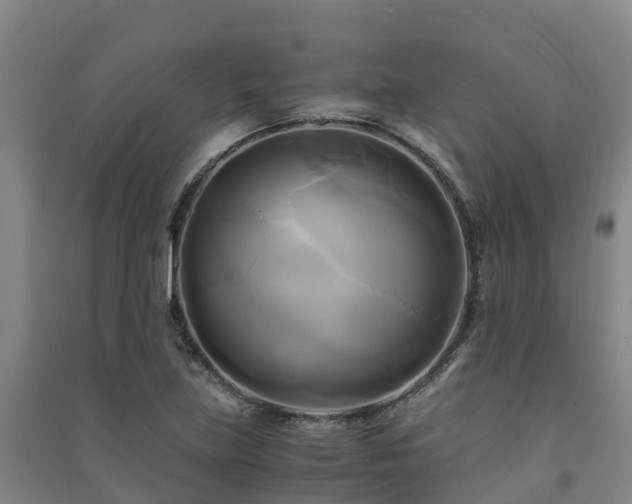 X0000091501219200708161452