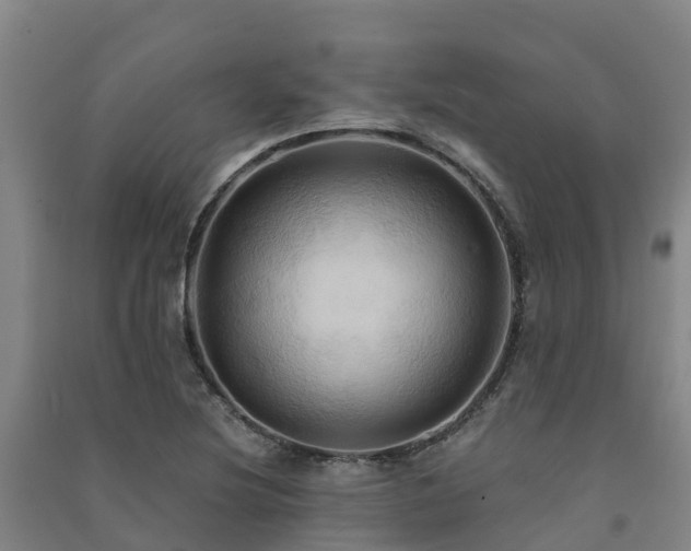 X0000091501220200708161452