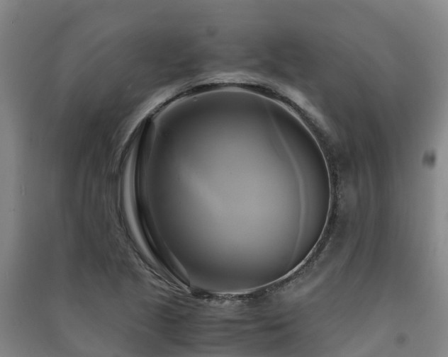 X0000091501221200708161452