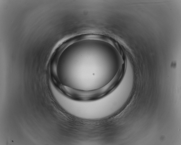 X0000091501222200708161452
