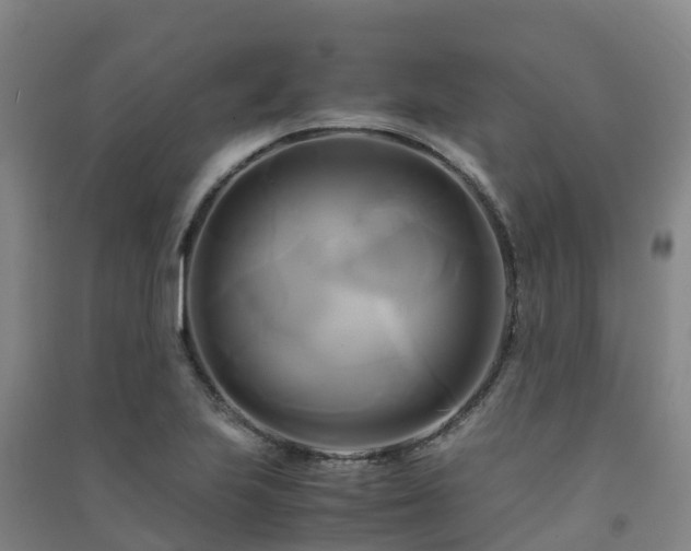 X0000091501223200708161452