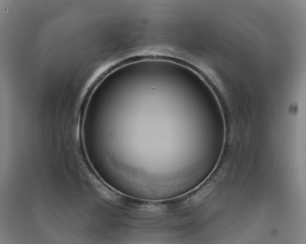 X0000091501224200708161452