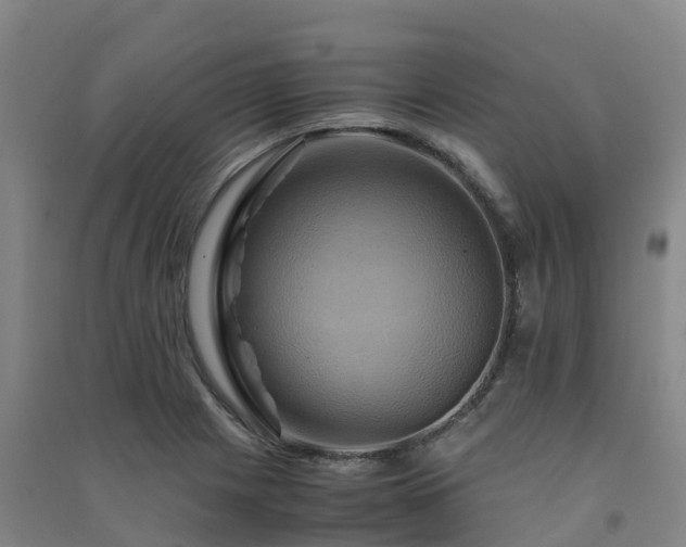 X0000091501225200708161452