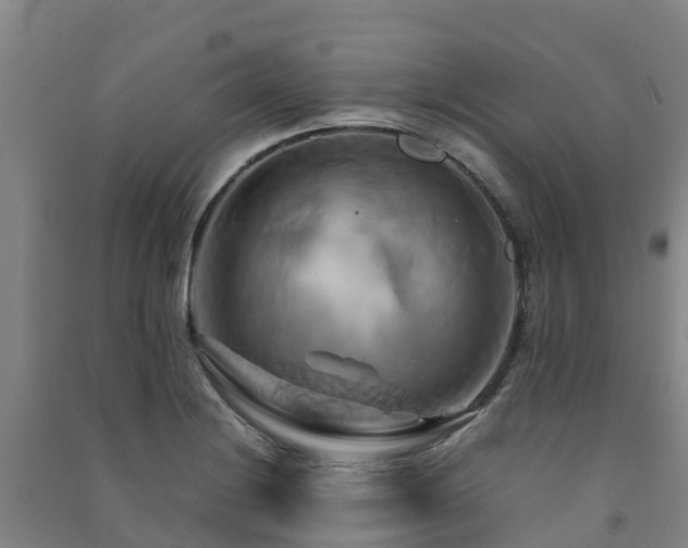 X0000091501228200708161452