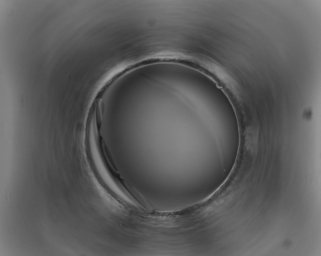 X0000091501229200708161452