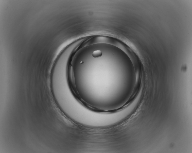 X0000091501230200708161452