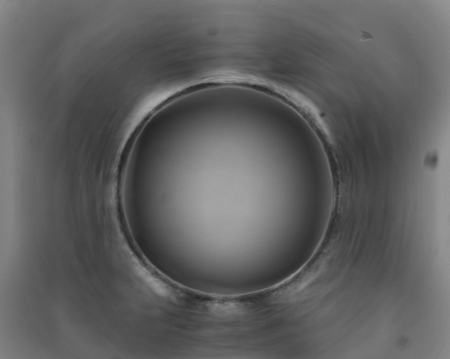X0000091501231200708161452