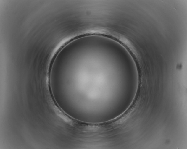 X0000091501232200708161452