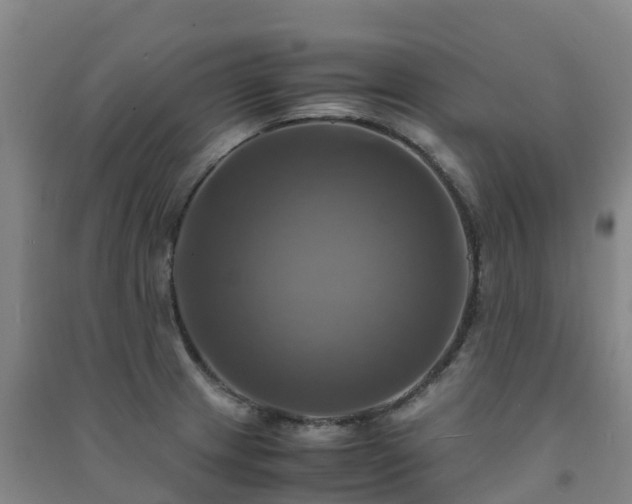 X0000091501233200708161452