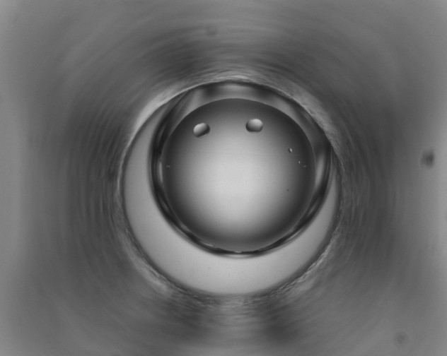 X0000091501234200708161452