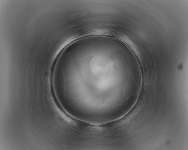 X0000091501235200708161452