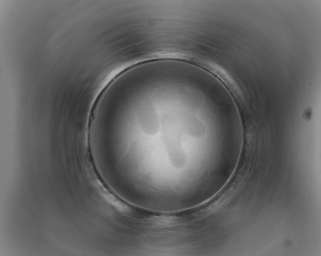 X0000091501236200708161452