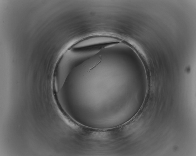 X0000091501237200708161452