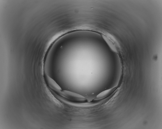 X0000091501238200708161452