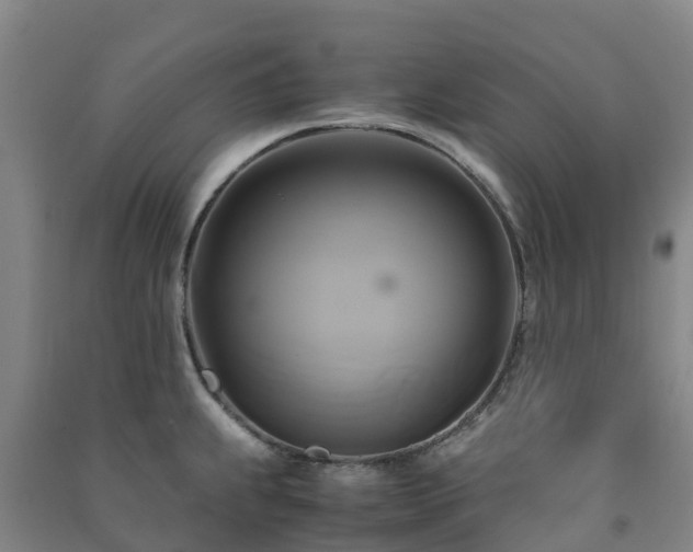 X0000091501239200708161452