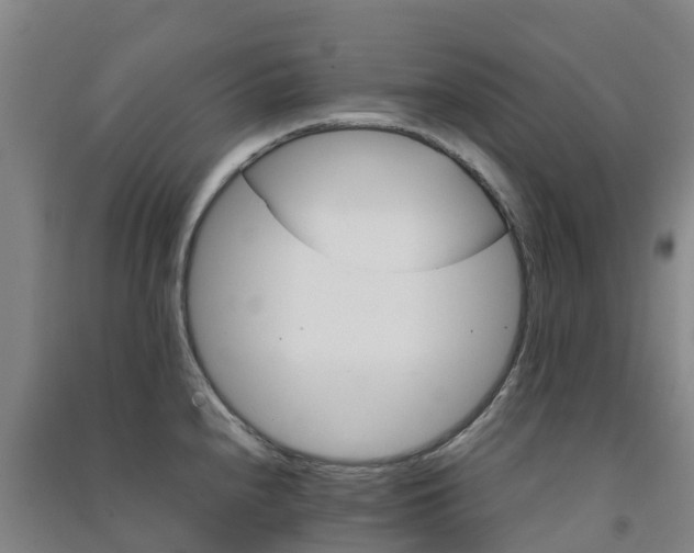 X0000091501240200708161452