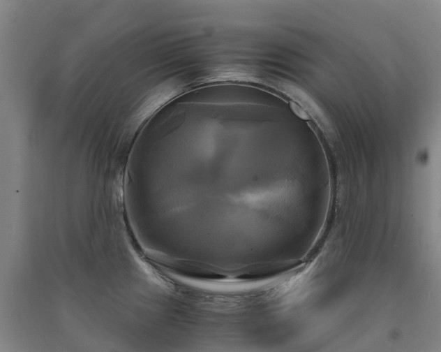 X0000091501241200708161452