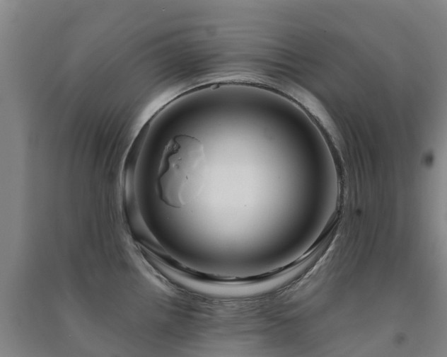 X0000091501242200708161452