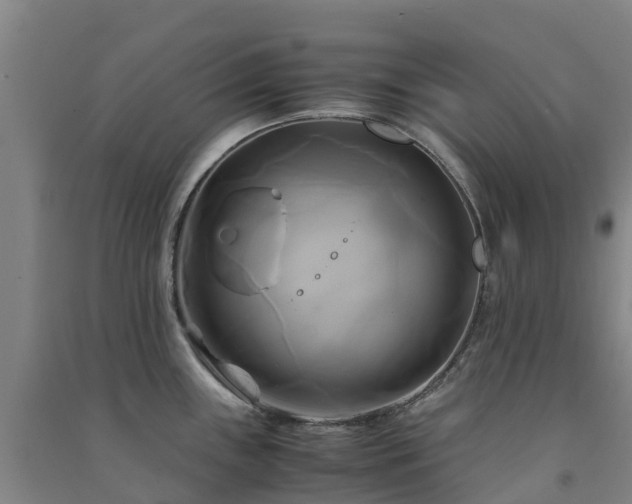X0000091501243200708161452