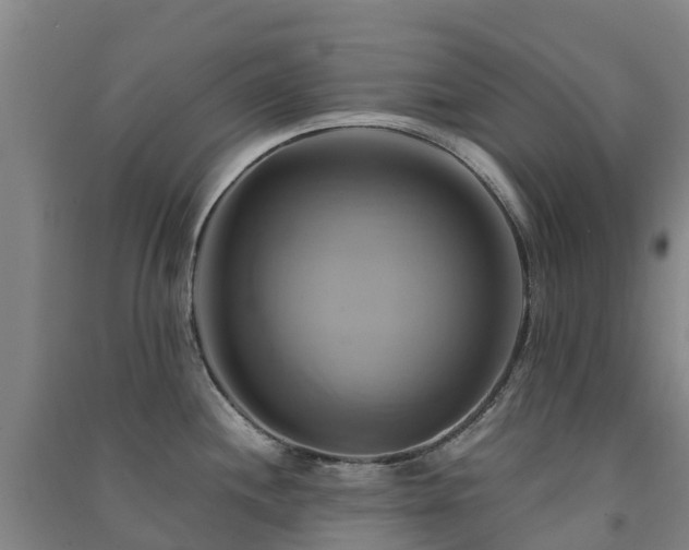 X0000091501244200708161452