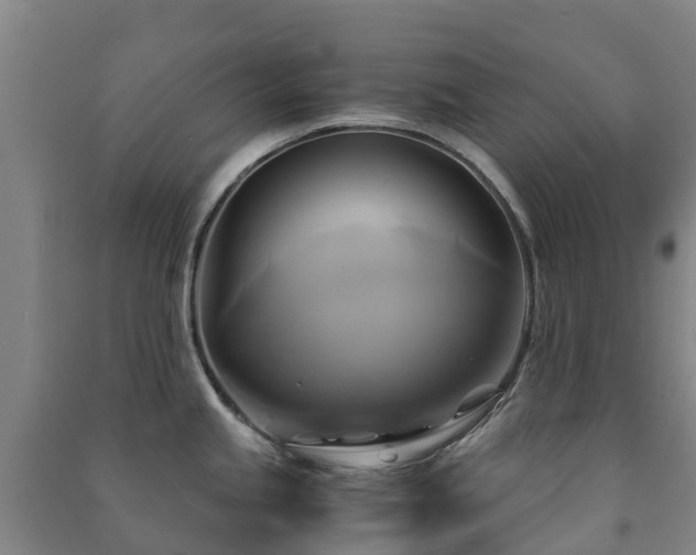 X0000091501245200708161452