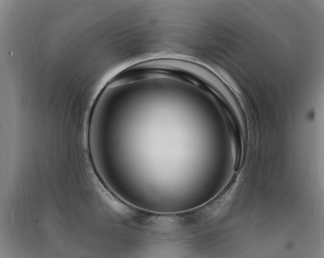 X0000091501246200708161452