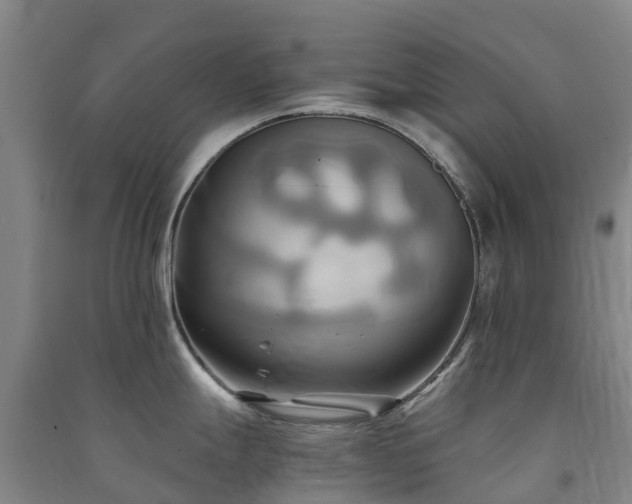 X0000091501247200708161452