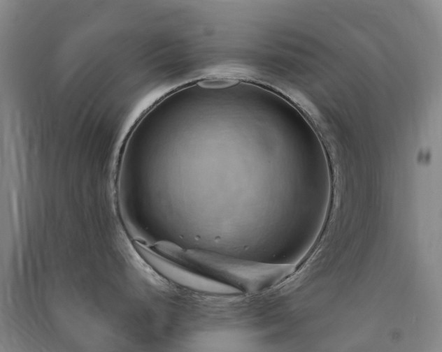 X0000091501248200708161452