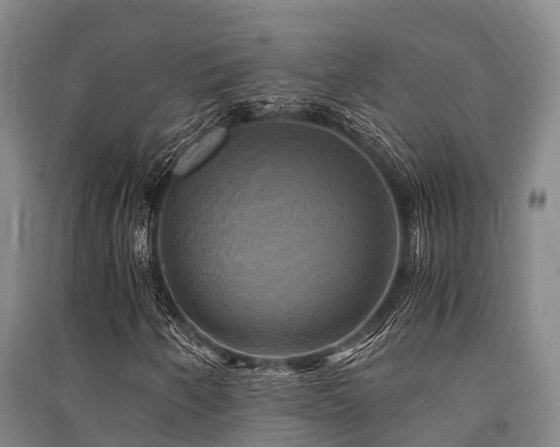 X0000091501250200708161451